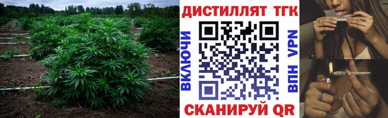 Дистиллят ТГК жижа  Мезень 